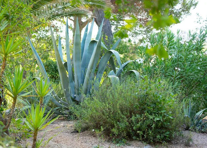 Feriehus Donmarz Martina Franca
