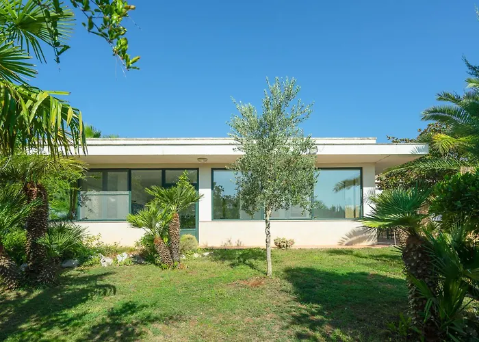 Donmarz מרטינה פרנקה